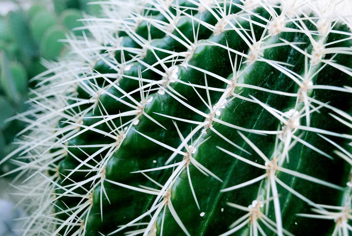 How to Master Textured Spikes: The Edgy Hairstyle That Defies Convention
